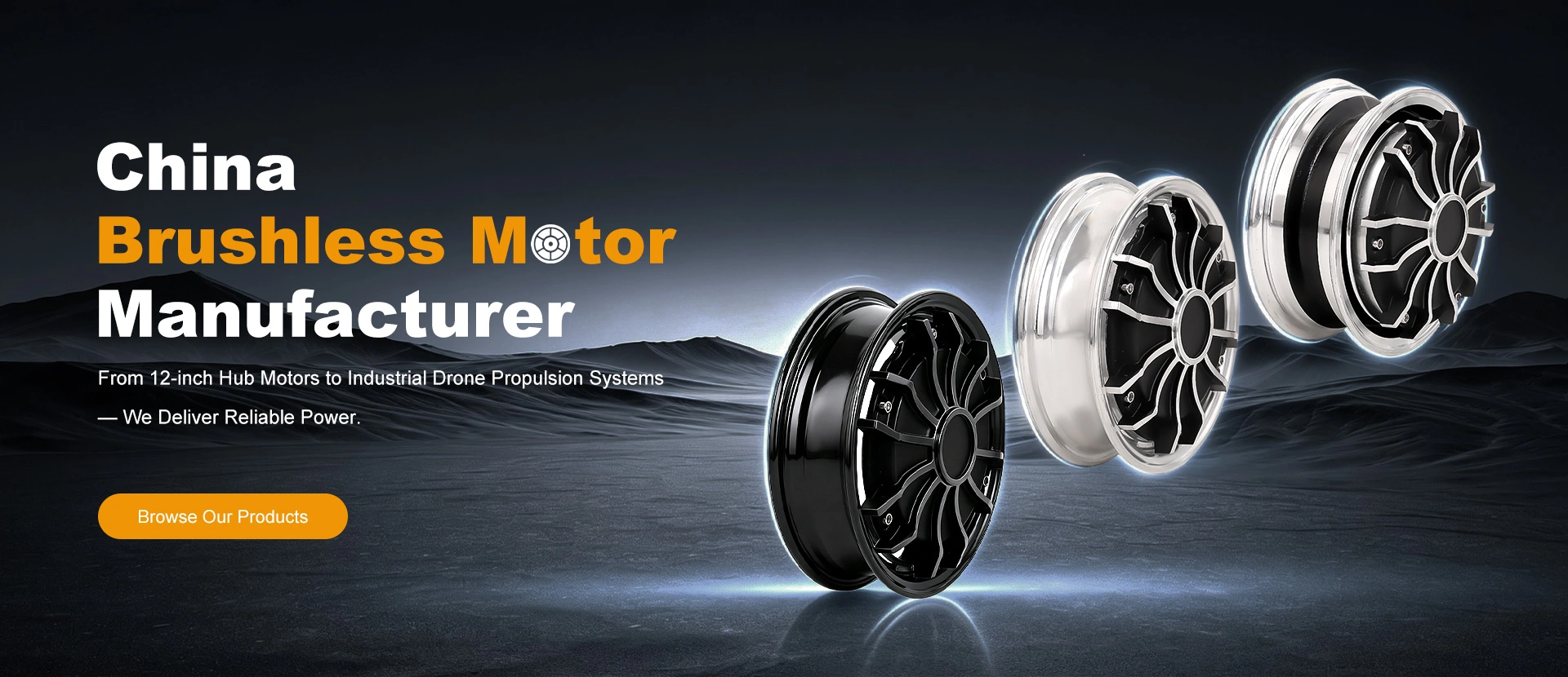 China Brushless  Motor Manufacturer