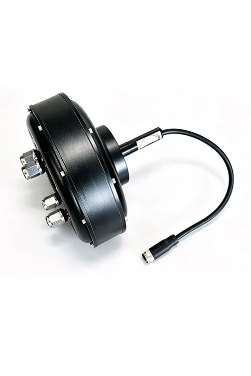 Spoke Hub Motors