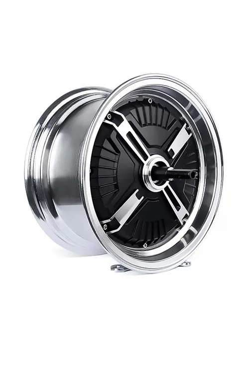 Electric Bike Motors