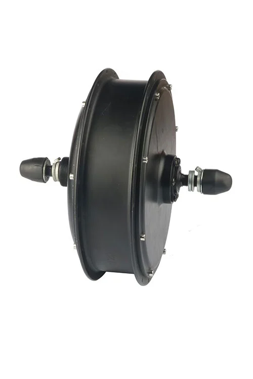 Electric Bike Motors