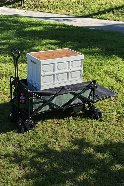 Trolley Motors
