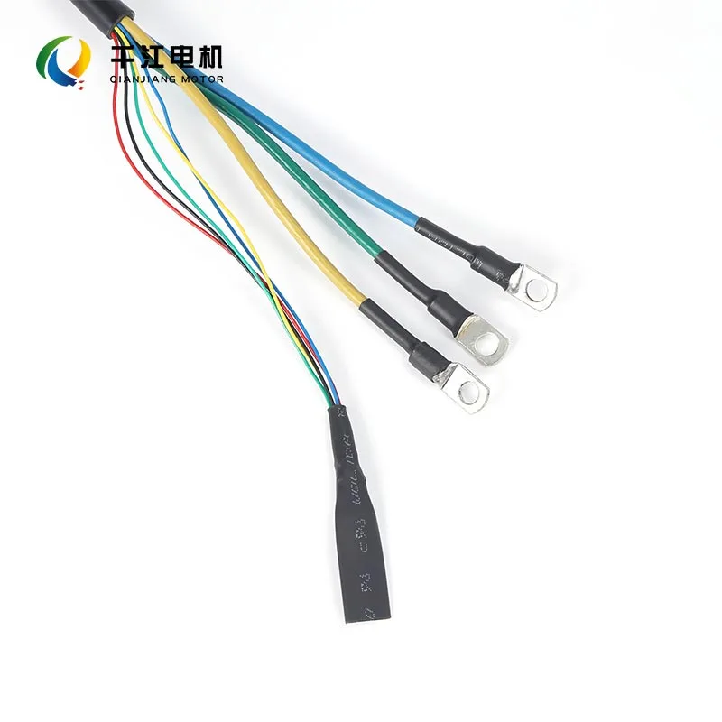 Disc Brake Electric Motorcycle Motor