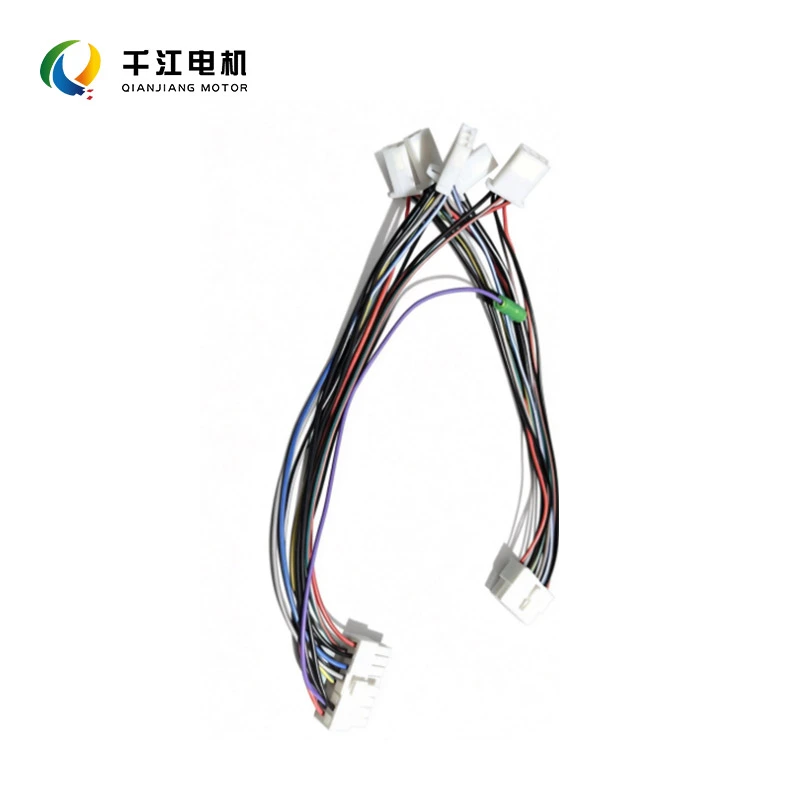 Electric Vehicle Motor Controller