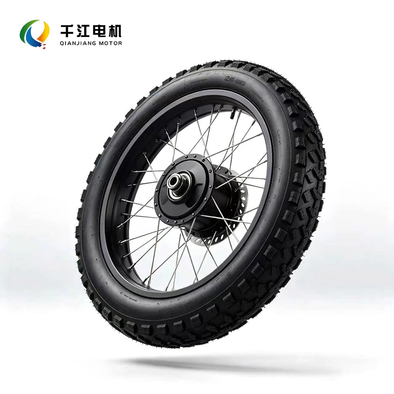 Fat Tire Spoke Hub Motor