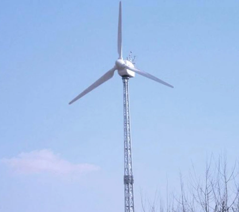 Wind Turbine Hub Motor